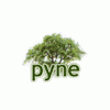 pyne