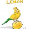 lemonjr